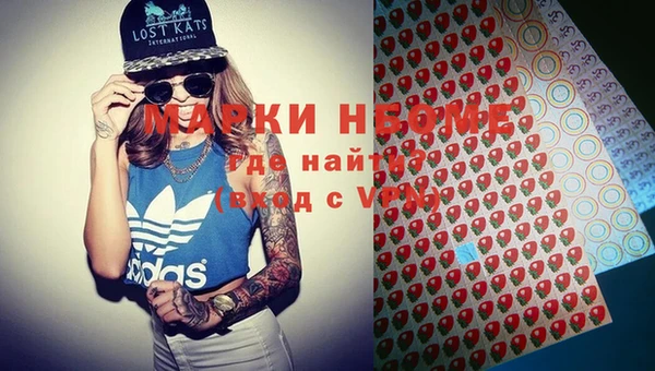 молекула духа Новозыбков