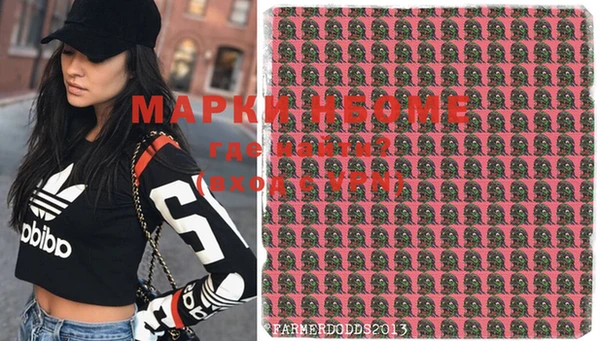 молекула духа Новозыбков