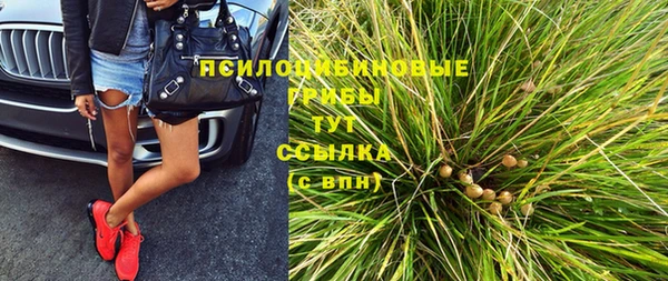 молекула духа Новозыбков