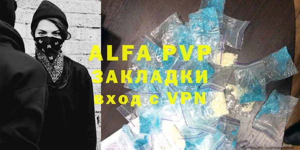 молекула духа Новозыбков